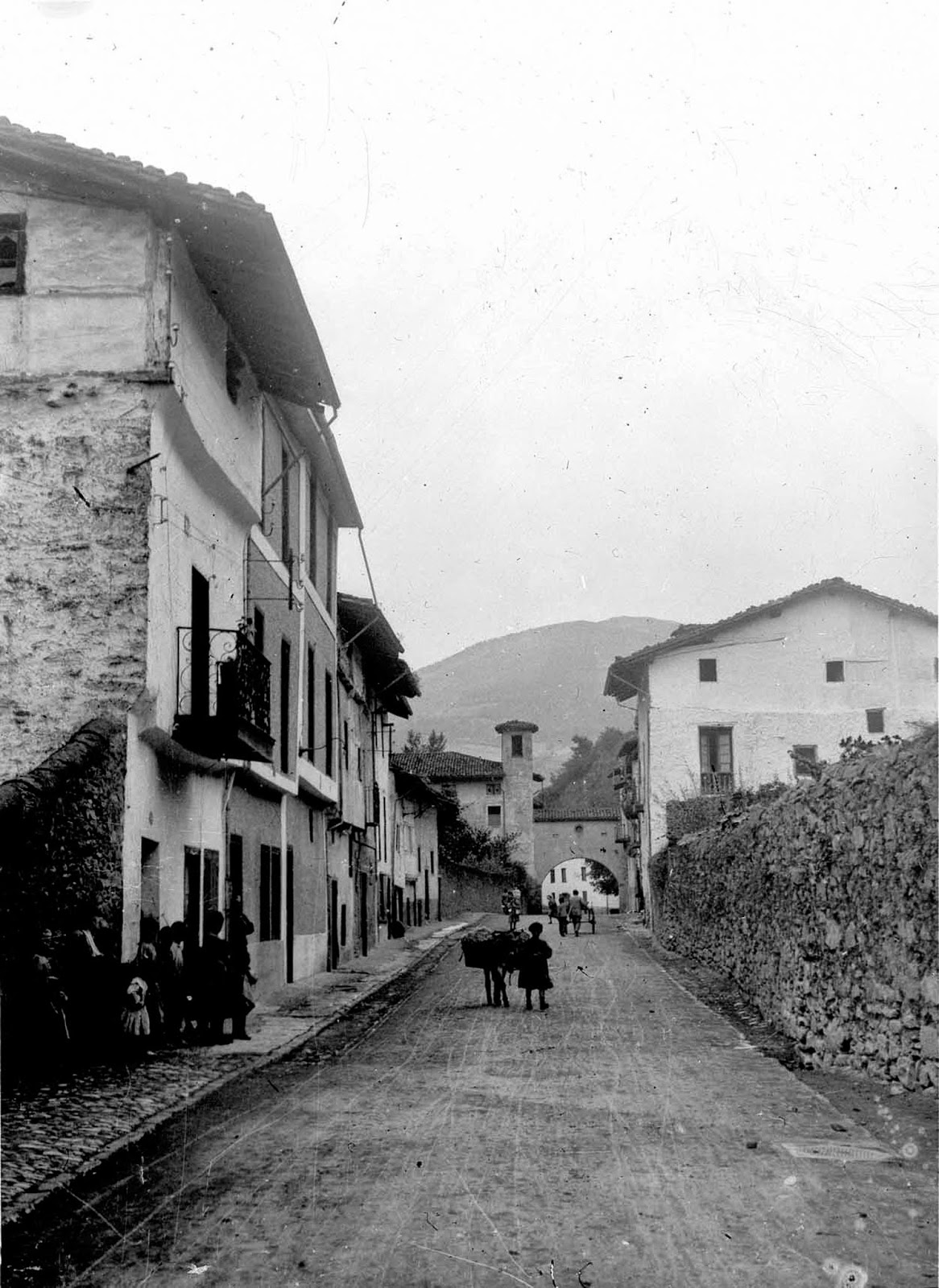 Castano de indias arbolapeta